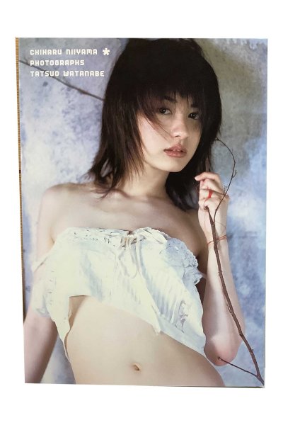 画像1: 【中古】新山千春写真集　CHIHARU NIIYAMA／新山千春／ワニブックス (1)