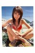 画像1: 【中古】山本梓写真集　あずみるく／山本梓／ぶんか社 (1)